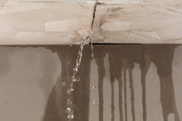 Professional Structural Drying technician working in West Mansfield, OH